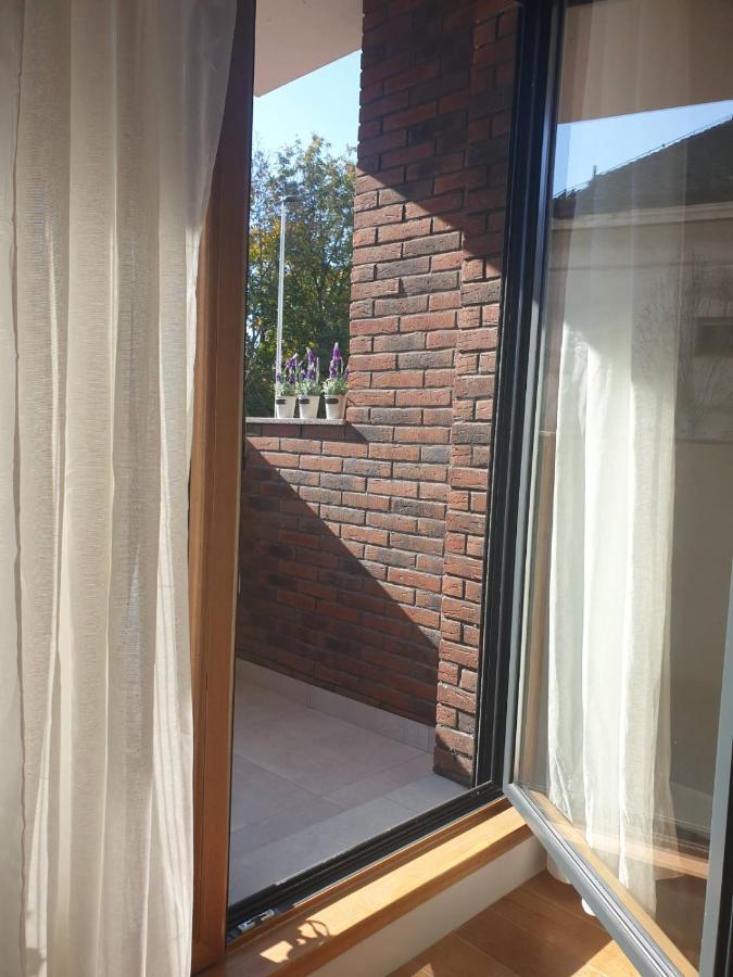 Apartment Mona Belgrád Kültér fotó